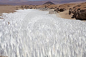 Field of penitentes along the road from La Casualidad to Mina Julia, Puna de Atacama, Argentina photo