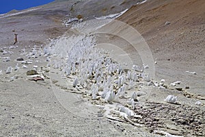 Field of penitentes along the road from La Casualidad to Mina Julia, Puna de Atacama, Argentina photo