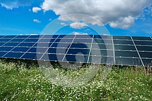 A field of photovoltaic panels