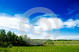 Field and plain landscape