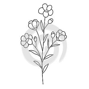 Line flower vector, minimalist line design, wildplant vector photo