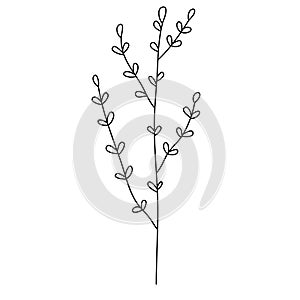 Line flower vector, minimalist line design, wildplant vector photo