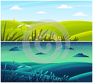 Field plants, grasses, stems, summer field, lawn, countryside. Nature day and night. Vector design