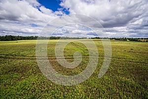 Field in Poland