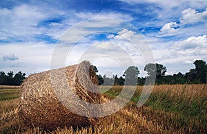 Field in Poland