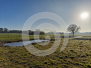 Field and pond landscape in the winter on a sunny day