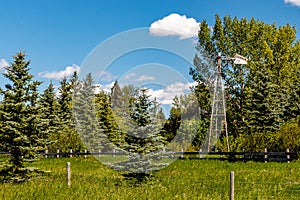 Field and pond in summer. Rockyview County,Alberta,Canada