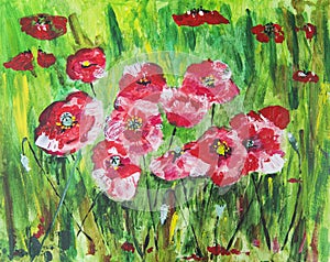 Field poppies in green