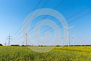 Field of rapeseed with high-voltage lines and wind turbines