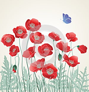 Field of Red Poppies, Poppy with Blue Butterfly