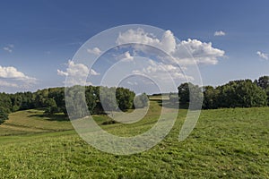 Field in the region of hallertau, Bayern (germany)