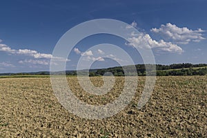 Field in the region of hallertau, Bayern (germany)