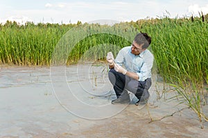 Field researcher biologist examines soil sample in vitro