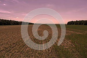 Field rests in summer. Fallow land