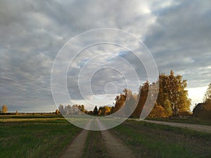 Field road in autumn with cloud