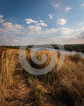 Field road in the grass along the river