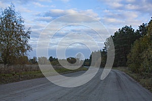 The field road leads to the autumn forest. Autumn landscape