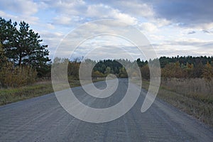 The field road leads to the autumn forest. Autumn landscape on a cloudy day