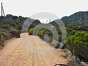 a field road in the mountains at summer