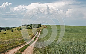 Field road in rural, farmland landscape, storm clouds at horizon