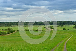 Field road in thick weather in early autumn