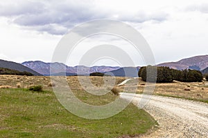 Field road to the lake. South island. New Zealand