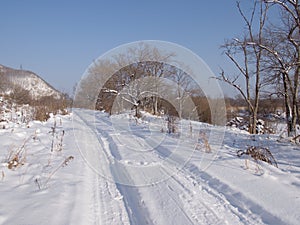Field road in the winter