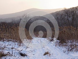 Field road in the winter evening