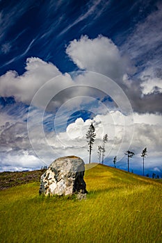 Field with rock on Olympic Peninsula, Washington