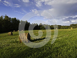 Field with roll hay bales lit by evening sun and dramatic clouds in sky in summer