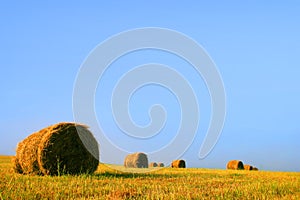 Field with a roll of straw against a blue sky
