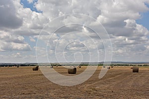 Field with Rolled Bales of Hay on a Cloudy Day