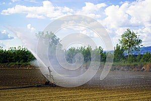 Field's irrigation, Italy photo