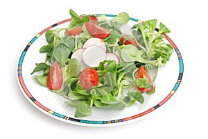 Field salad with tomatoes and radish