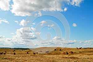 Field and the sky