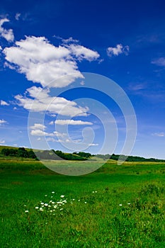 Field and sky