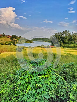 Field and sky of Badlapur in India