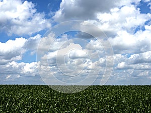 Field sky clouds