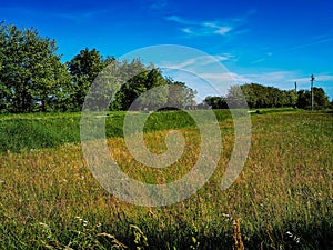 field and sky , image taken in Marostica, Vicenza, Italy