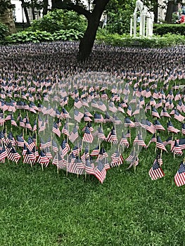 Field of small American flags