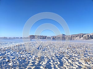 Field snowed under in morning sun in picturesque landscape under cloudless deep blue sky