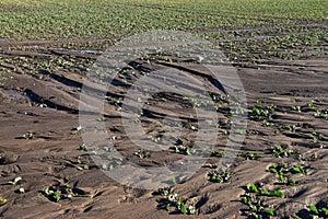 Field soil erosion