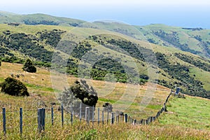 Field with solar panel, New Zealand