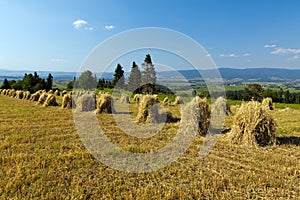 Field with some bundles of hay on blue sky background