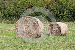 Field with some bundles of hay in the summer, harvest.