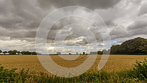 Field in Somerset England B