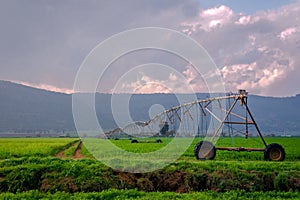 Field Sprinkle photo