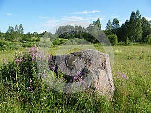 A field with a stone