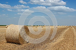 Field with straw bale