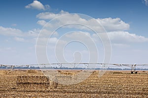 Field with straw bale